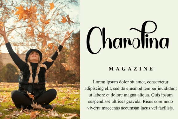 Bundle Font - Preview 1
