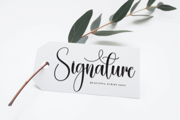 Eucalyptus Font - Preview 4