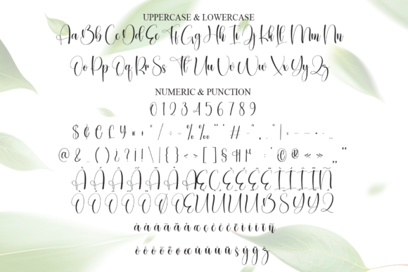 Eucalyptus Font - Preview 6