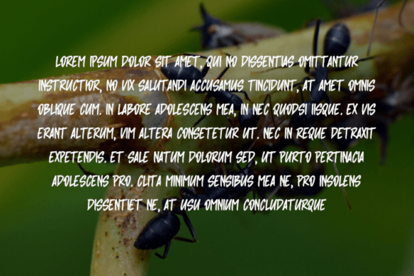 Gufron Font PNG with transparent background - Preview 3
