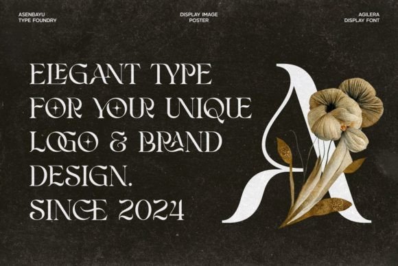 Agilera Font - Preview 2