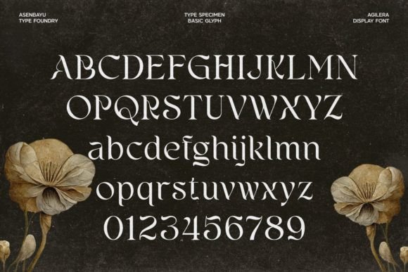 Agilera Font - Preview 4