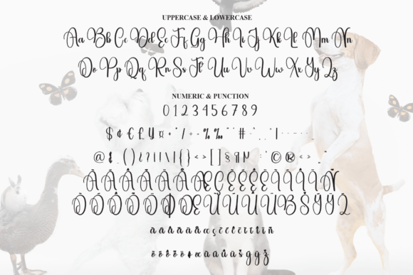 Animal Font - Preview 6