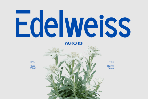 Brade Font - Preview 4
