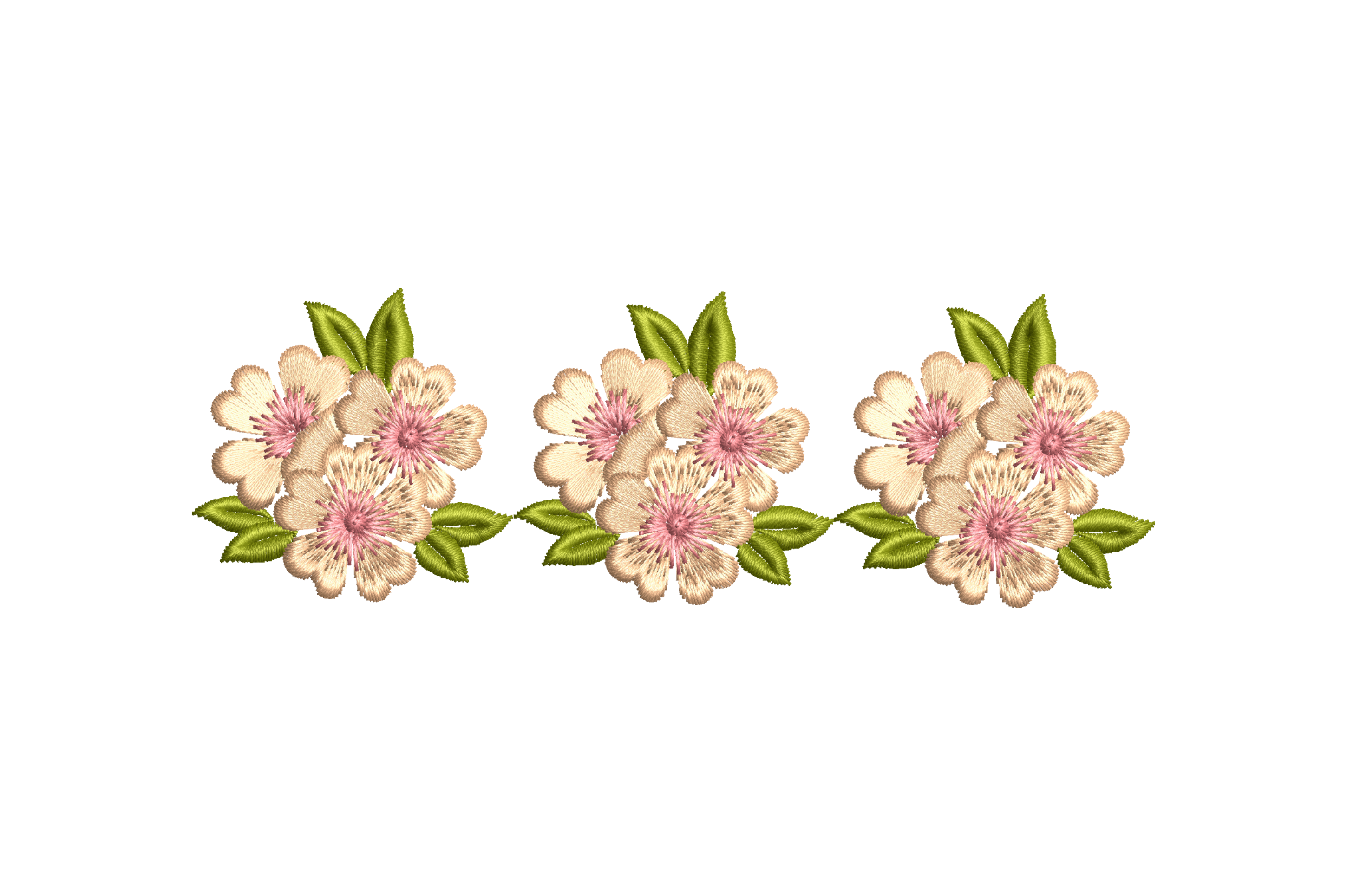 Elegant Border