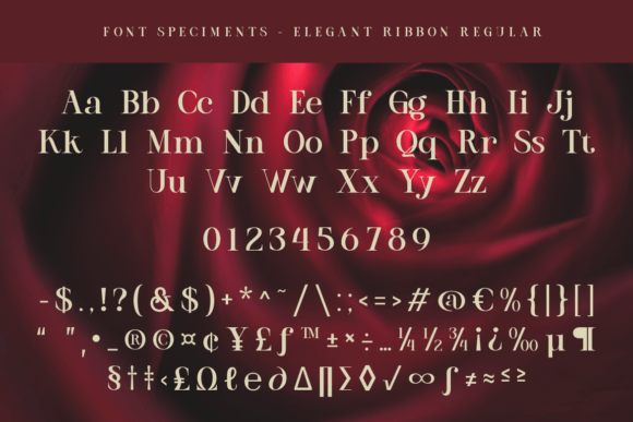 Elegant Ribbon Font PNG with transparent background - Preview 6