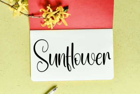 Amsterdam Font - Preview 3