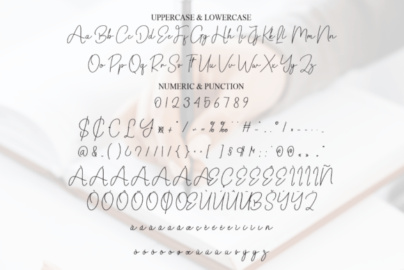 Angelica Signature Font - Preview 6