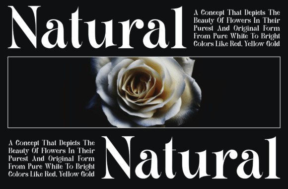 Sauida Font PNG with transparent background - Preview 2