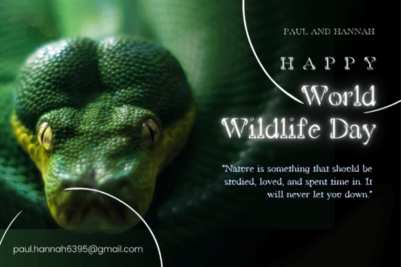 Snake Fangs Font PNG with transparent background - Preview 1