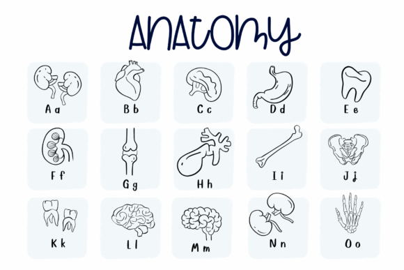 Anatomy Font - Preview 1