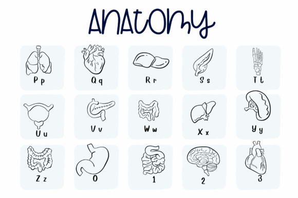 Anatomy Font - Preview 2