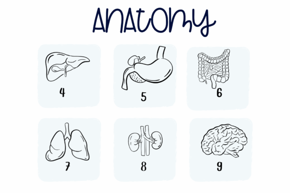 Anatomy Font - Preview 3