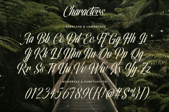 Olivelifes Font PNG with transparent background - Preview 5