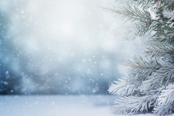Winter Background