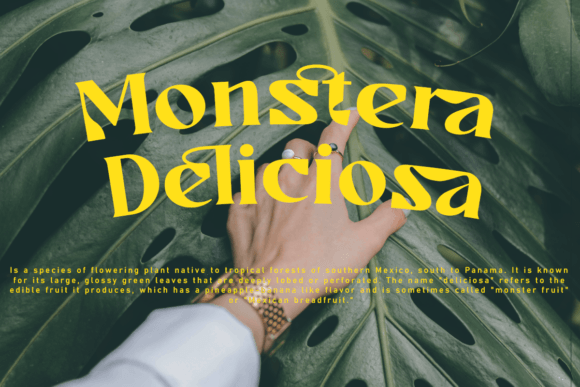 Algaria Font - Preview 1