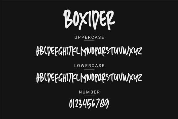 Boxider Font - Preview 1