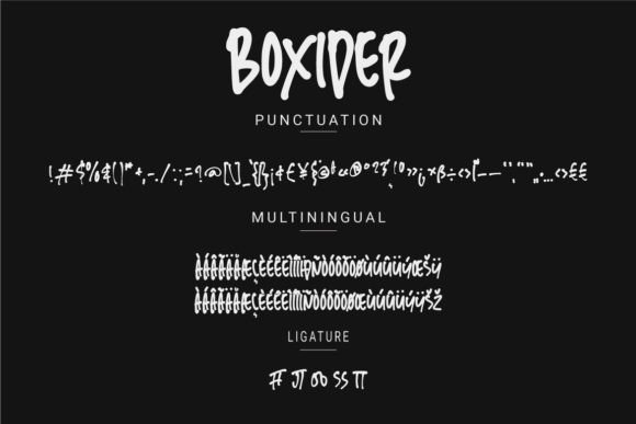 Boxider Font - Preview 2