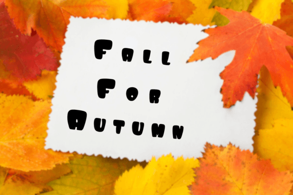 First Day of Fall Font - Preview 5