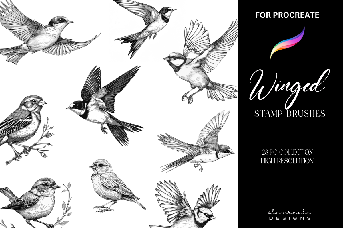Procreate Bird Brush Stamps Graphic by melina wester · Creative Fabrica