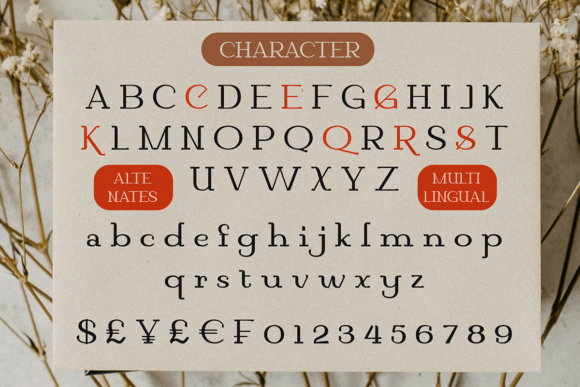 Cemora Font - Preview 5