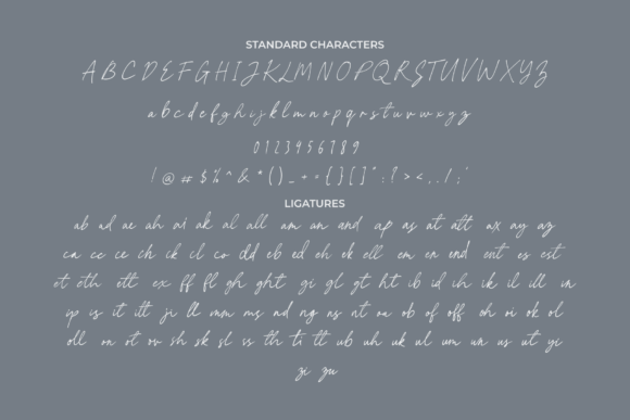 Denai Font - Preview 5