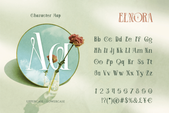 Elnora Font - Preview 2