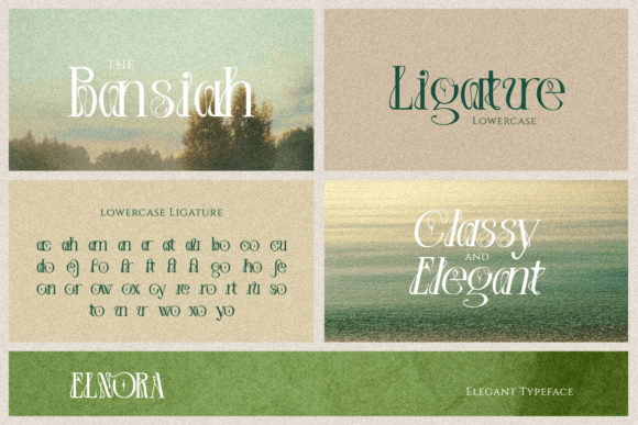 Elnora Font - Preview 6