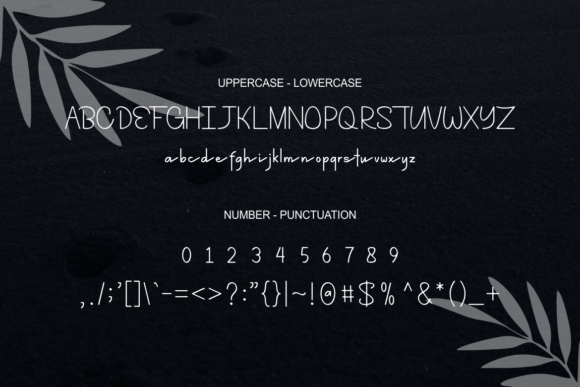 Dellcince Font PNG with transparent background - Preview 3