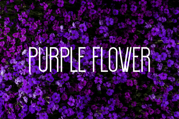 Elegant Summer Font - Preview 2