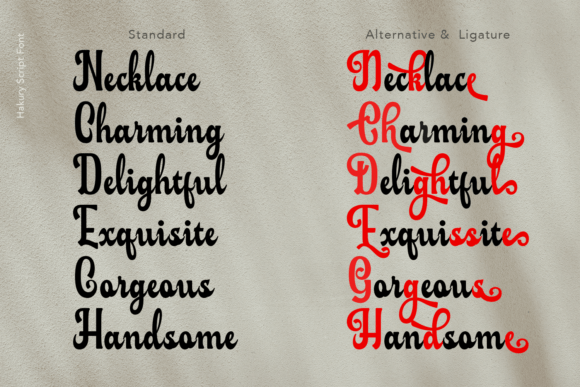 Hakury Font - Preview 1