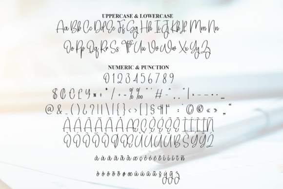 Birmigham Signature Font - Preview 6