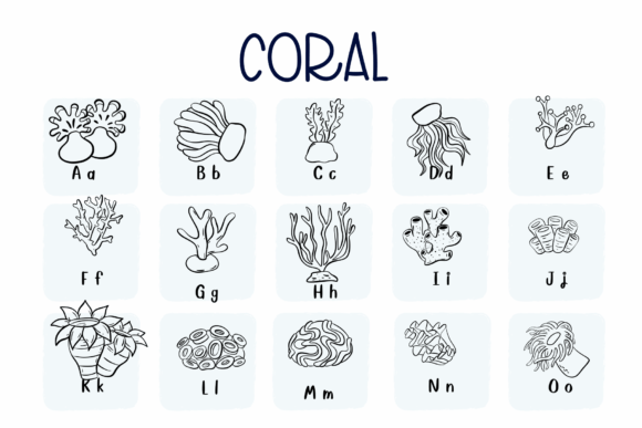 Coral Font PNG with transparent background - Preview 1