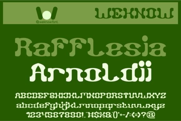 Falling Leaves Font - Preview 1