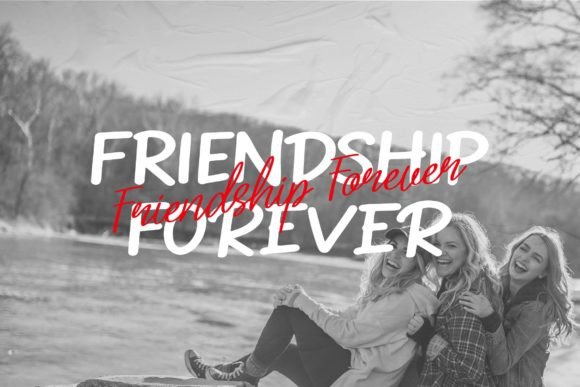 Identic Partner Font font preview - 6
