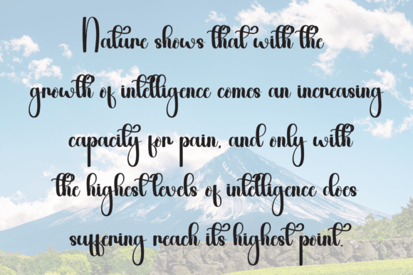 Auntie Font - Preview 5