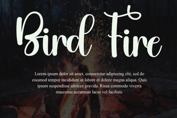 Camping Font - Preview 6