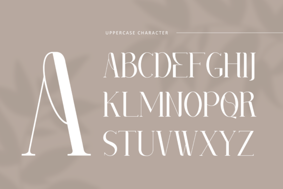 Ameng Font - Preview 5