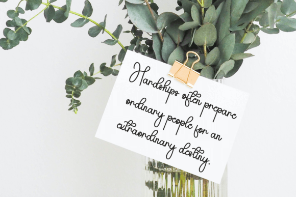 Delightful Font - Preview 3