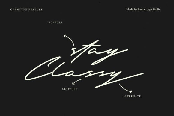 Bryan Richard Font - Preview 5