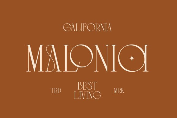 Cannera Font - Preview 5