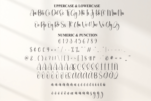 Dingbat Font PNG with transparent background - Preview 6