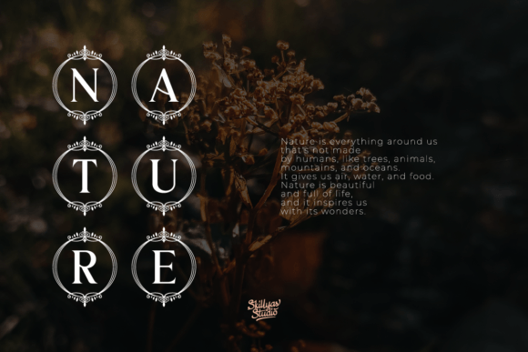 King Florist Font PNG with transparent background - Preview 5