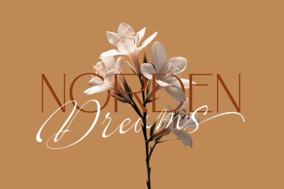 Skypiea Romantic Font PNG with transparent background - Preview 5