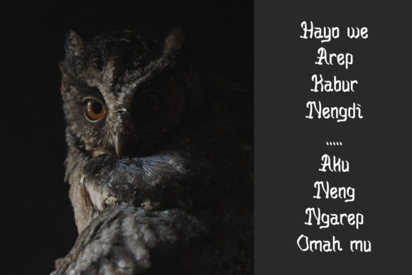 Budek Reseh Font - Preview 3
