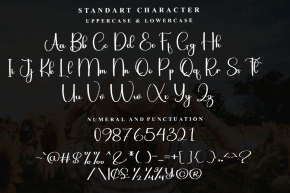 Buffalo Font - Preview 4