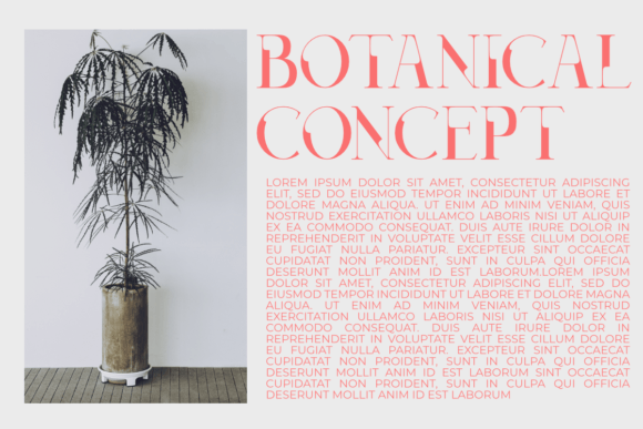 Decoslice Font - Preview 4