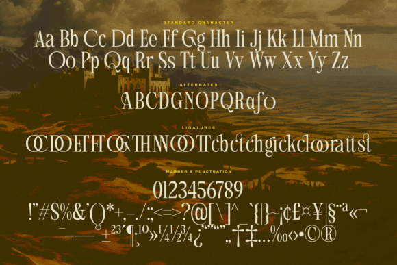 Aglio Picasso Font - Preview 6