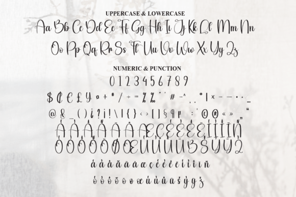 Bestina Font - Preview 6