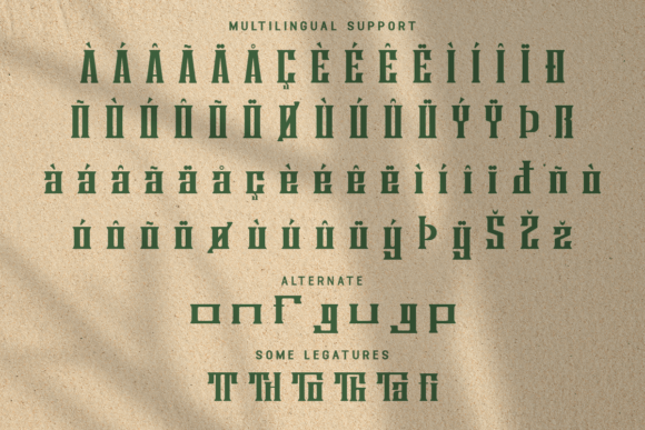 Borgona Font - Preview 4